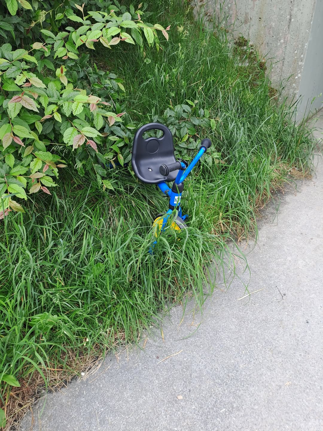 Found bike