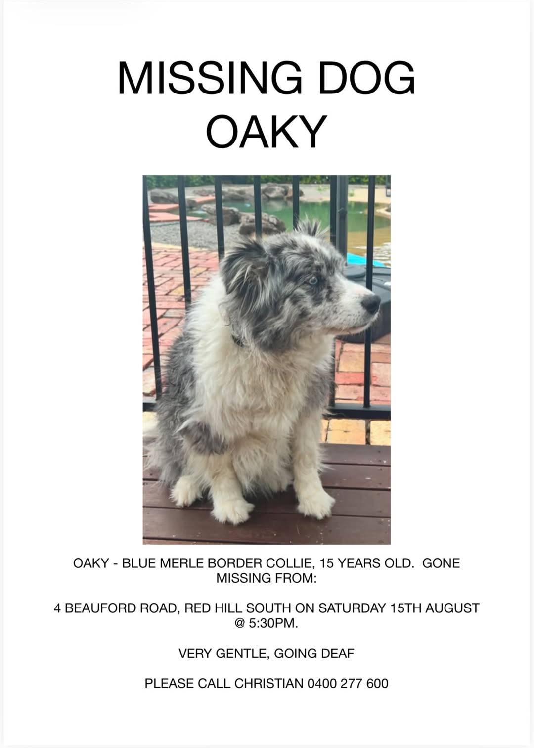 Lost Dog in Melbourne