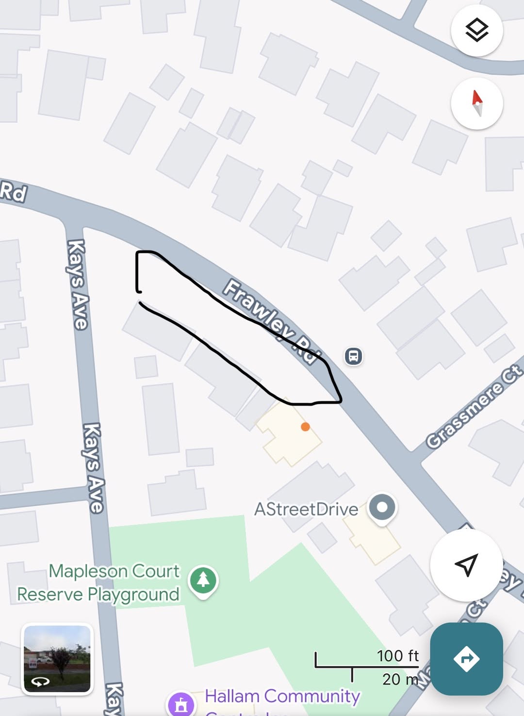 Found cat