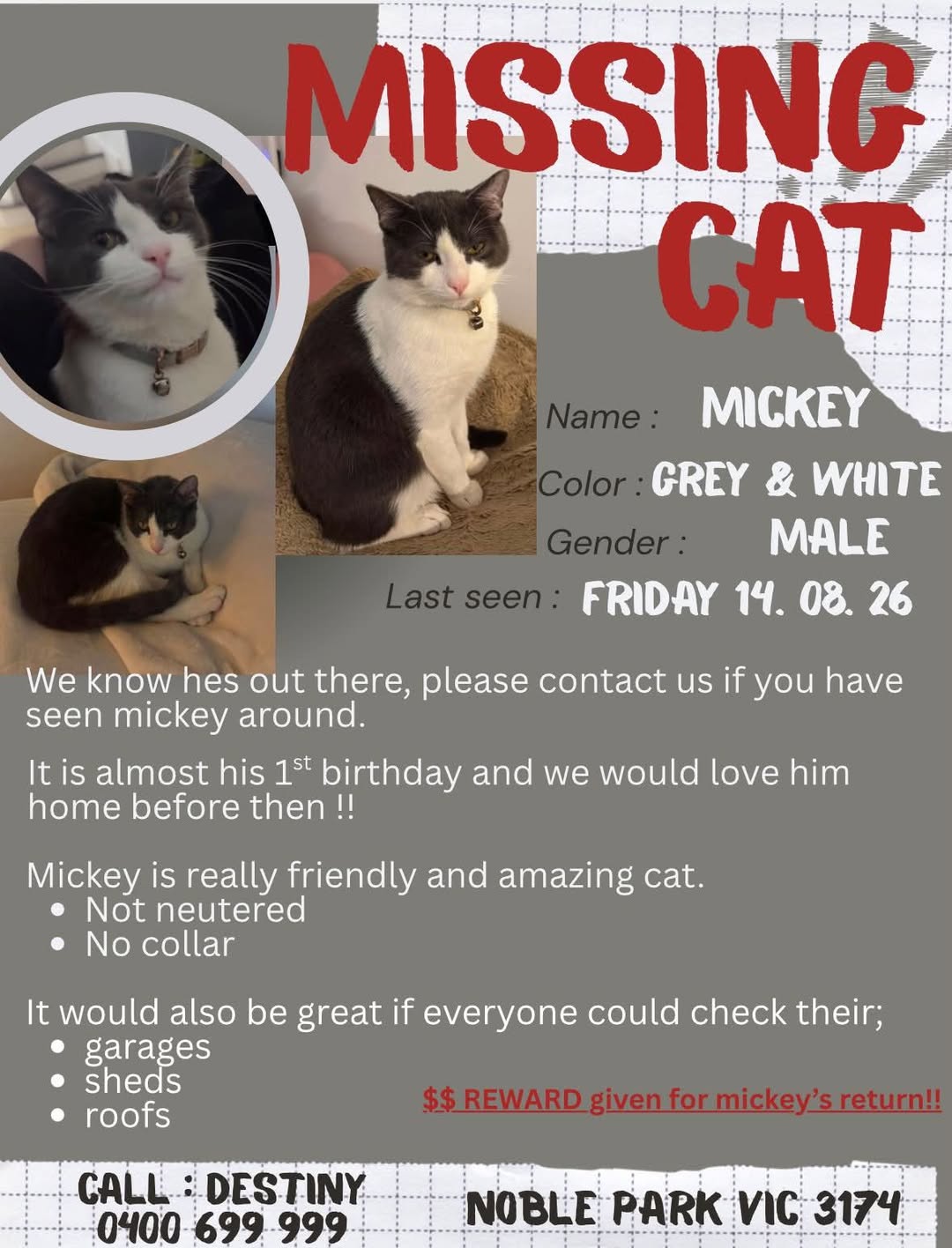 Lost Cat in Melbourne