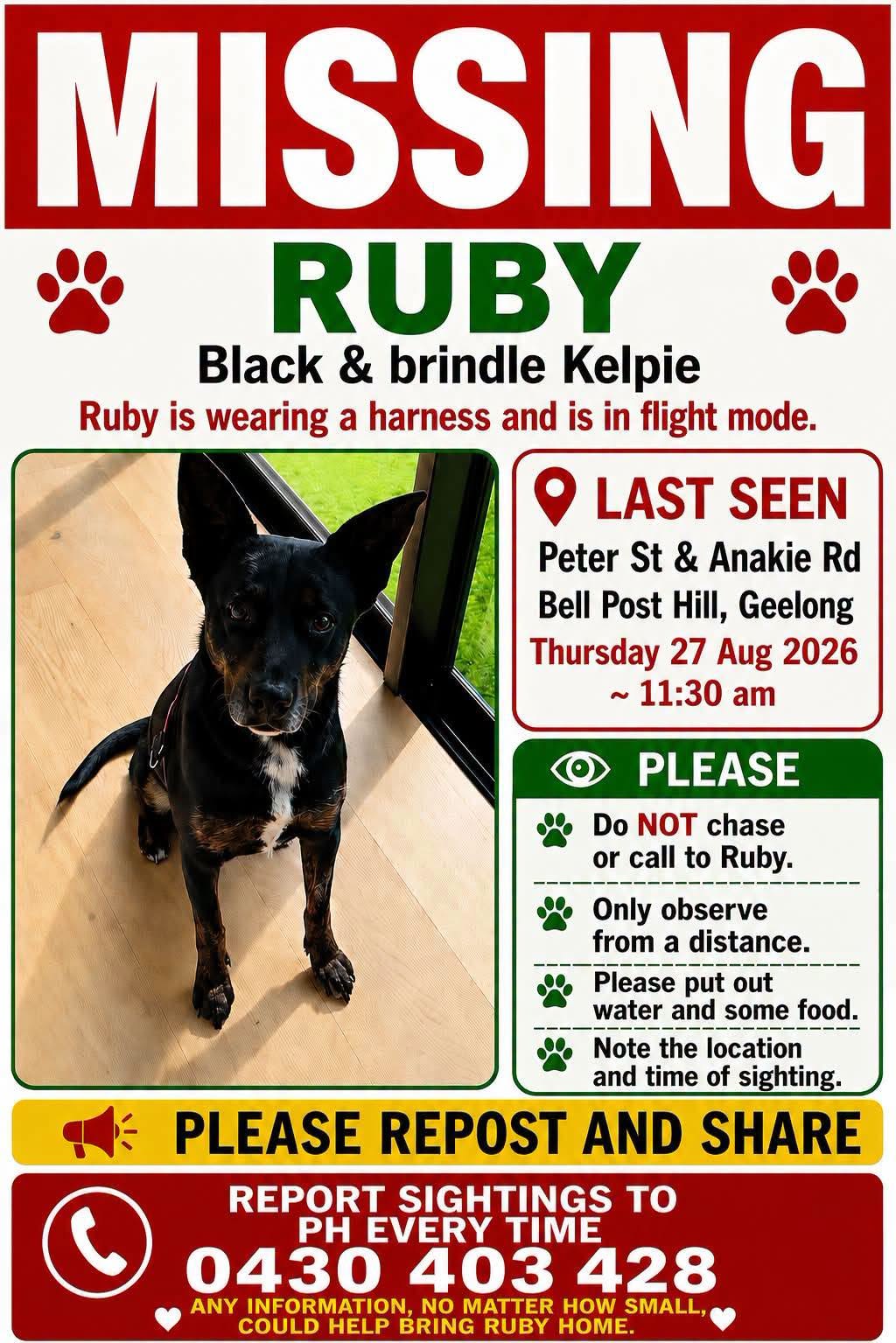 Lost Dog in Geelong