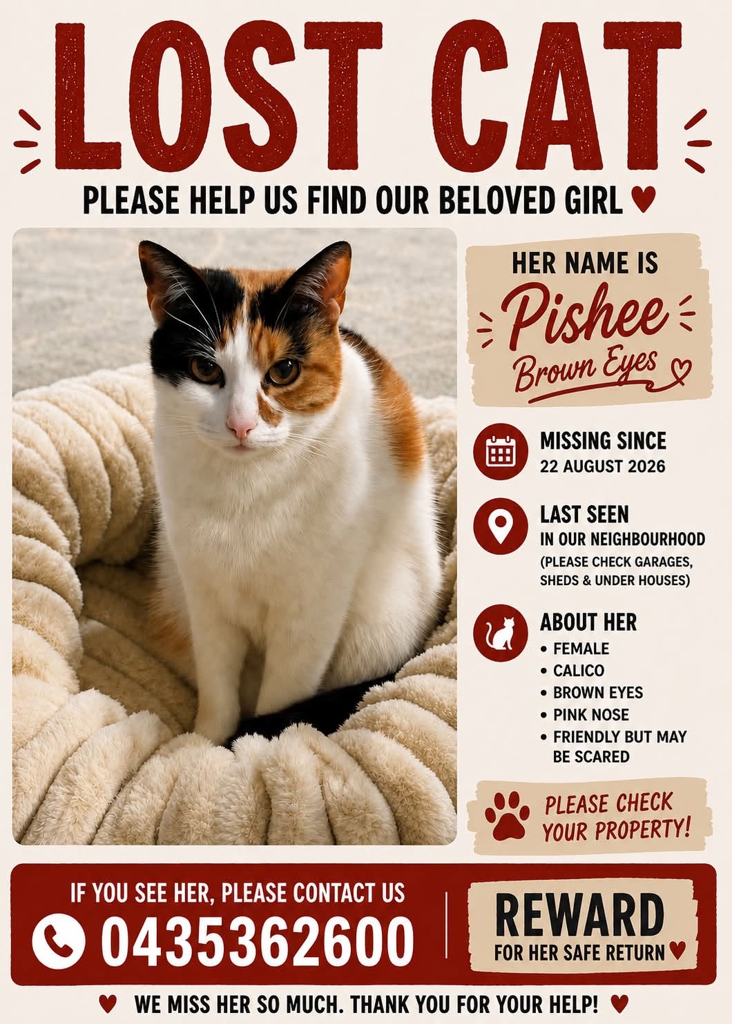 Lost Cat in Victoria