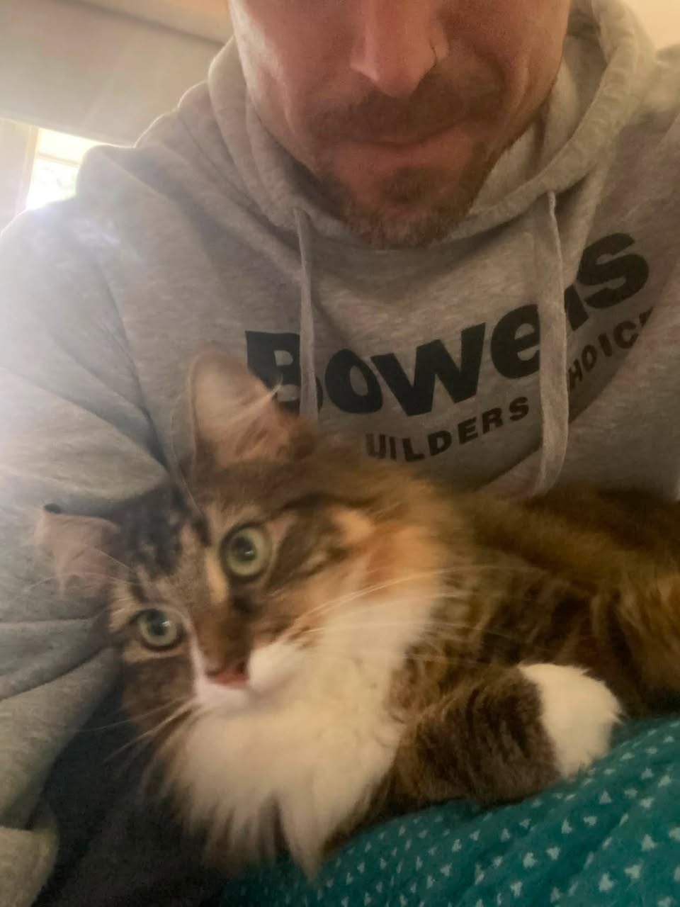 Lost Cat in Melbourne