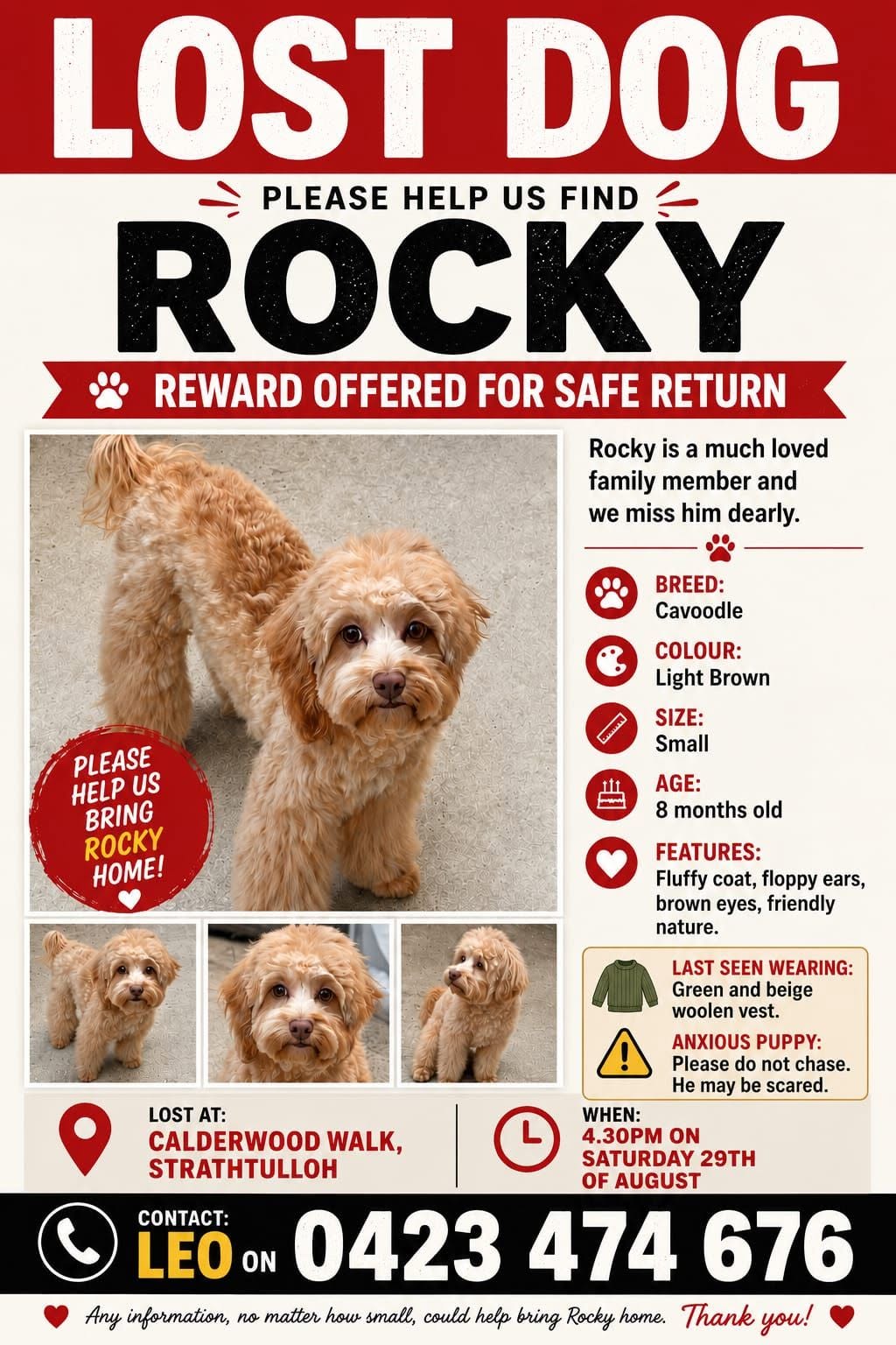 Lost Dog in Melbourne
