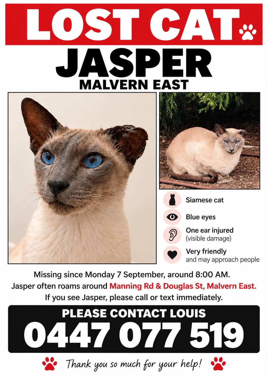 Lost Cat in Melbourne