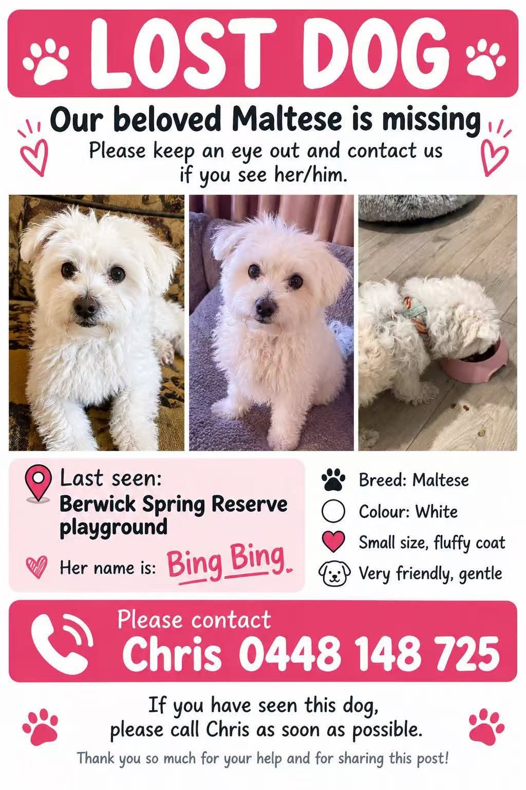 Lost Dog in Melbourne