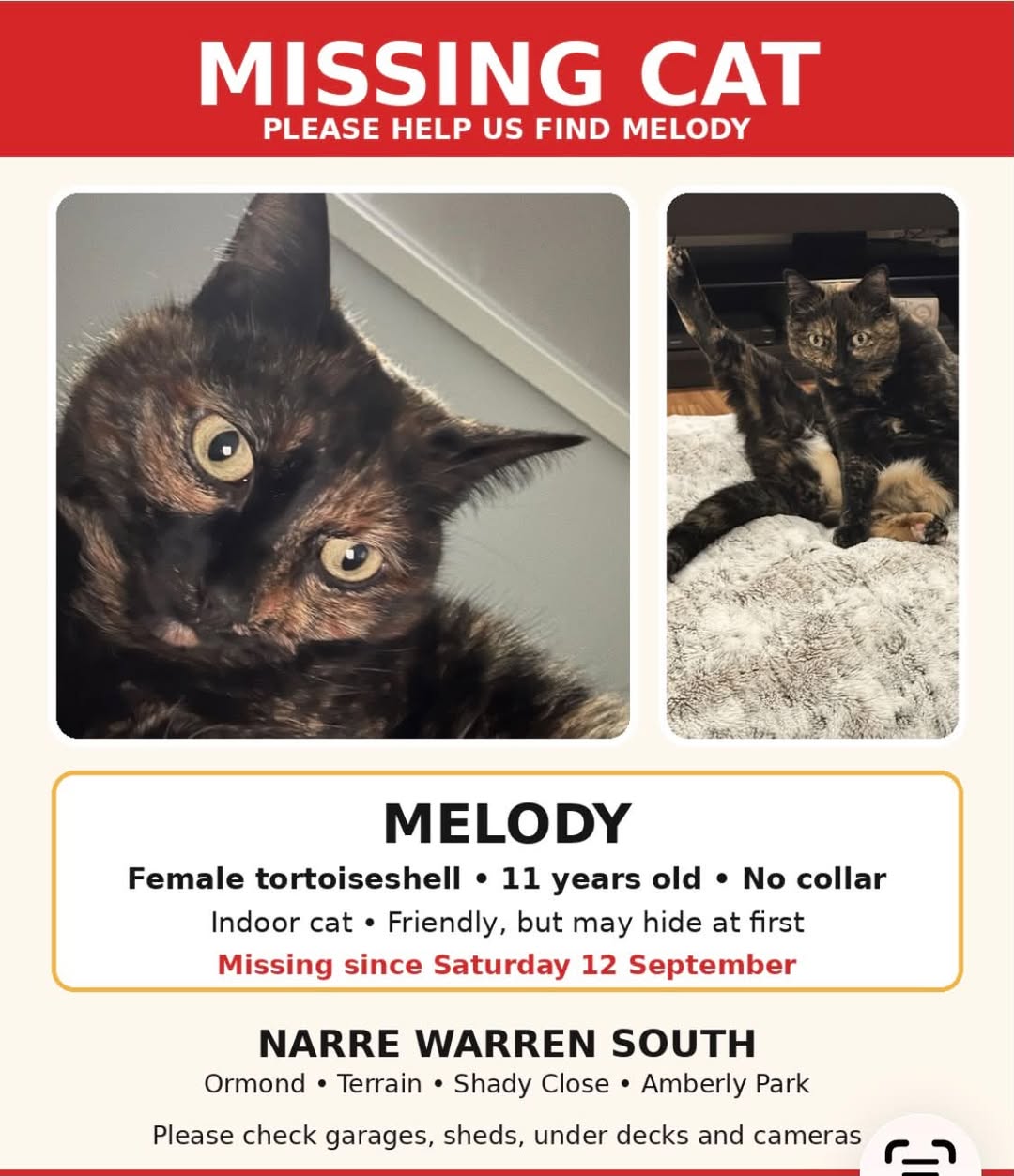 Lost Cat in Melbourne