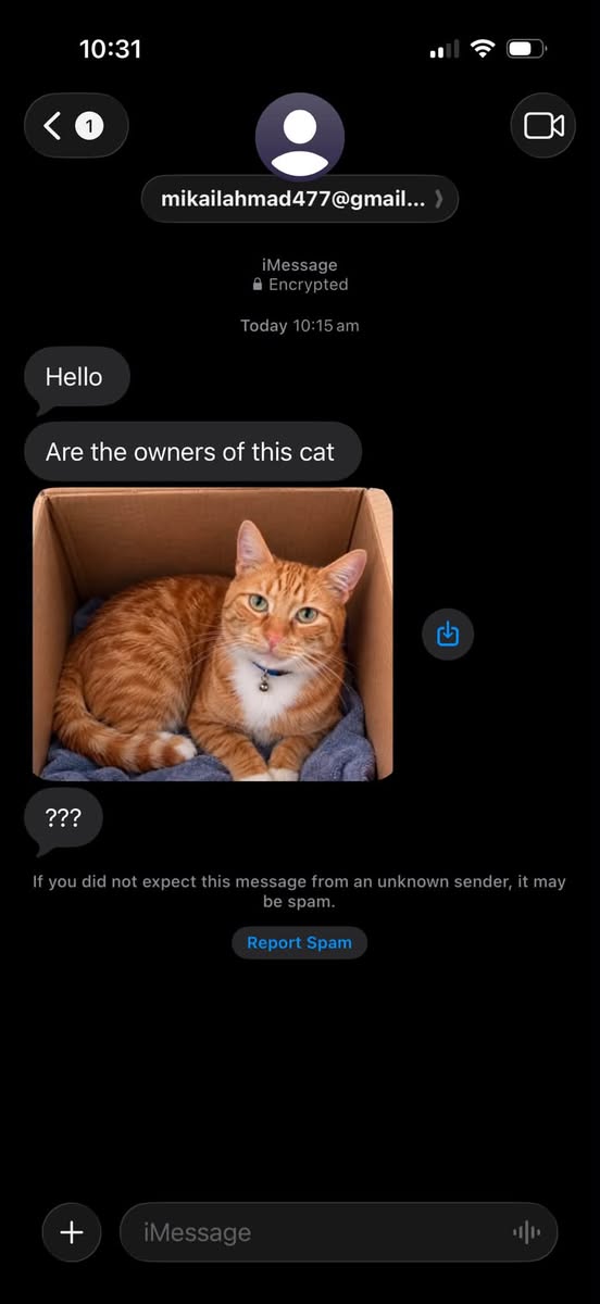 Lost Cat in Melbourne