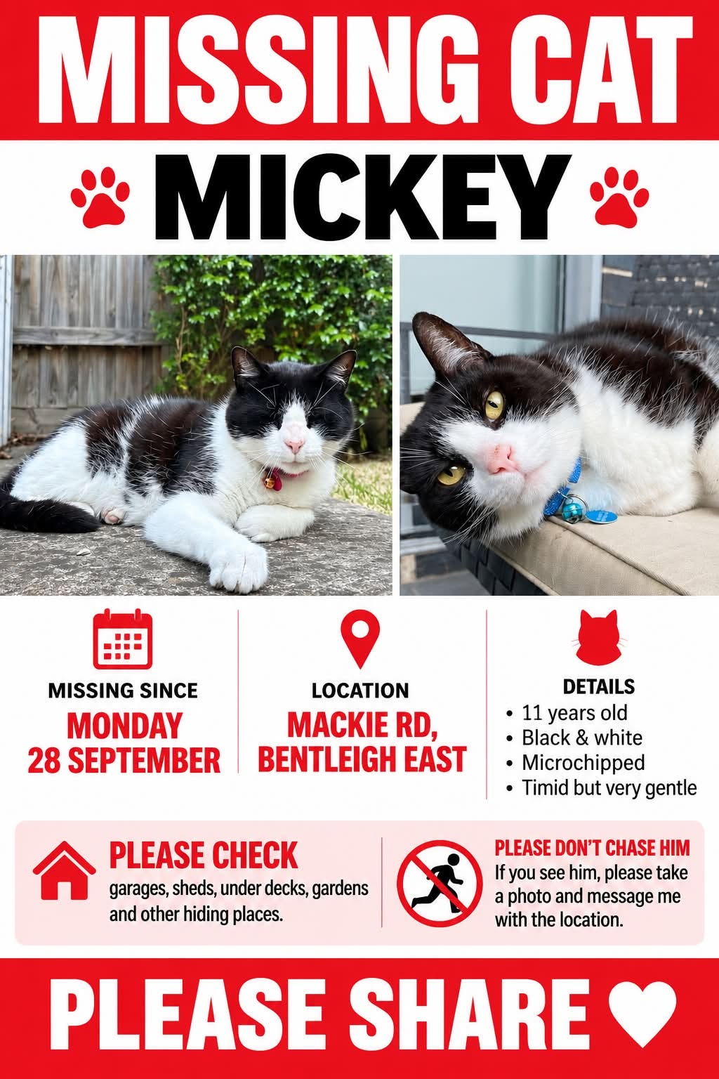 Lost Cat in Melbourne