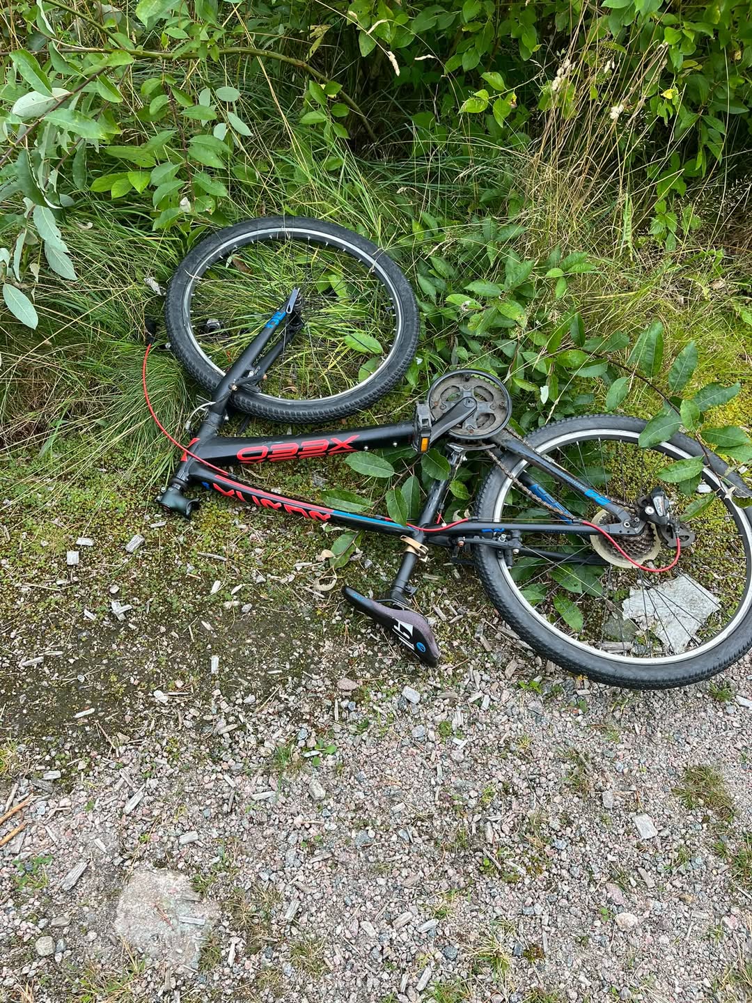 Found bike