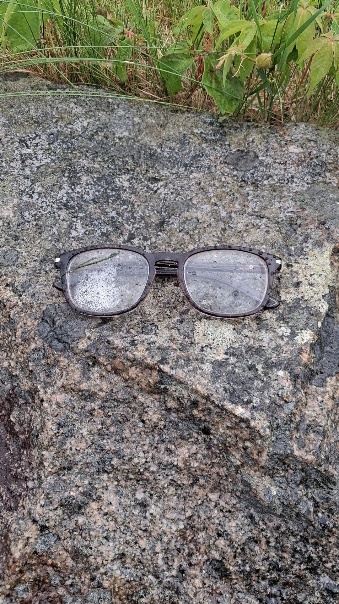 Found glasses