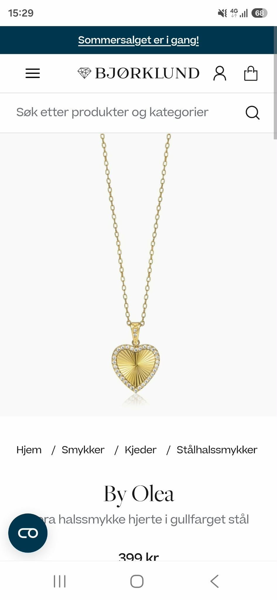 Lost necklace