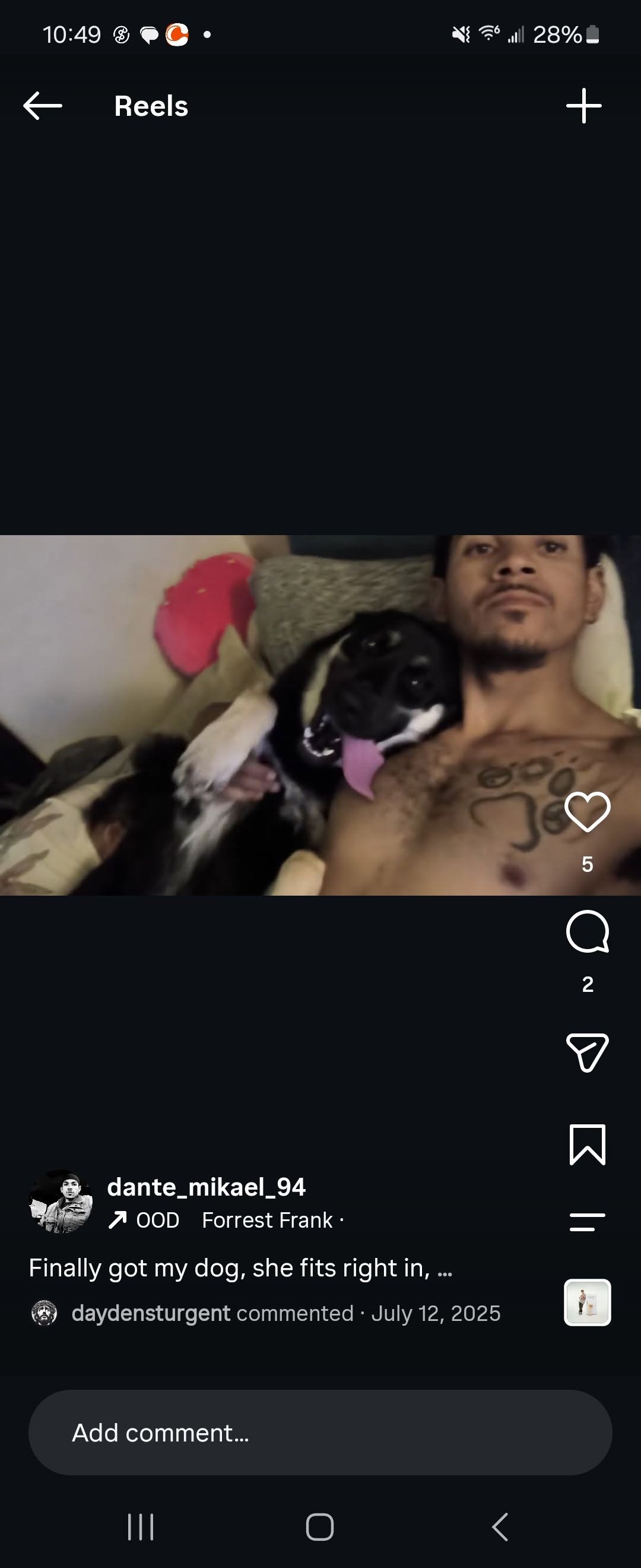 Lost Dog in Tucson