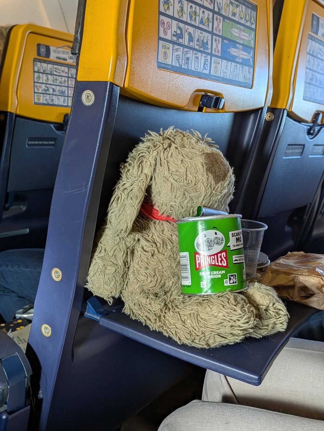 Lost Toy in Italy