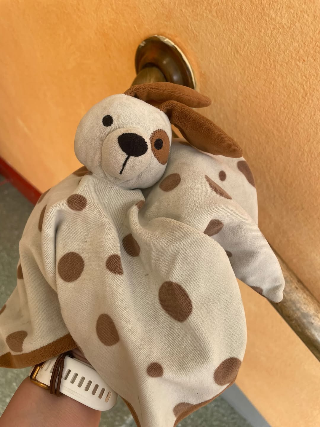 Found Toy in ÖRebro