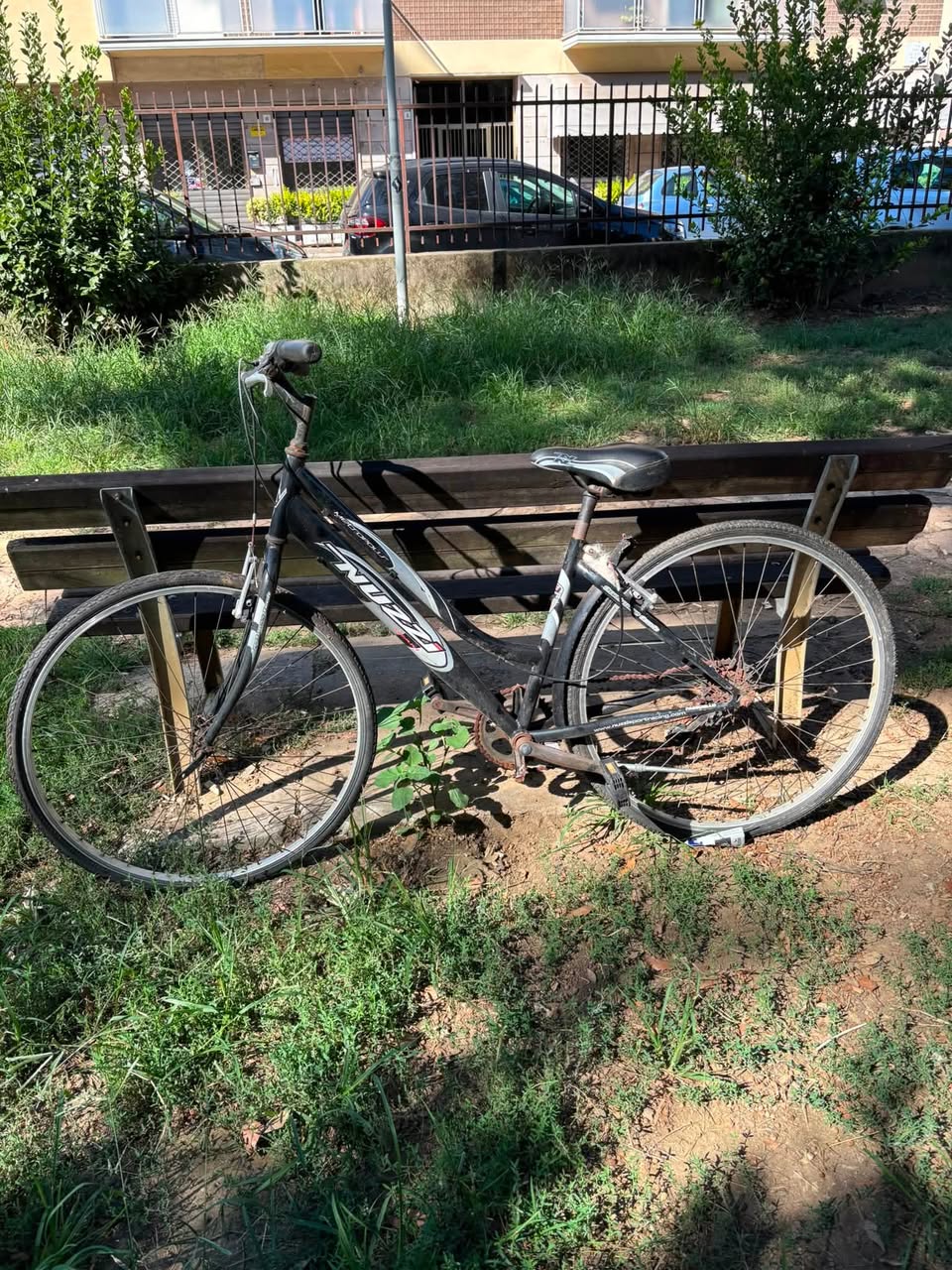 Found bike
