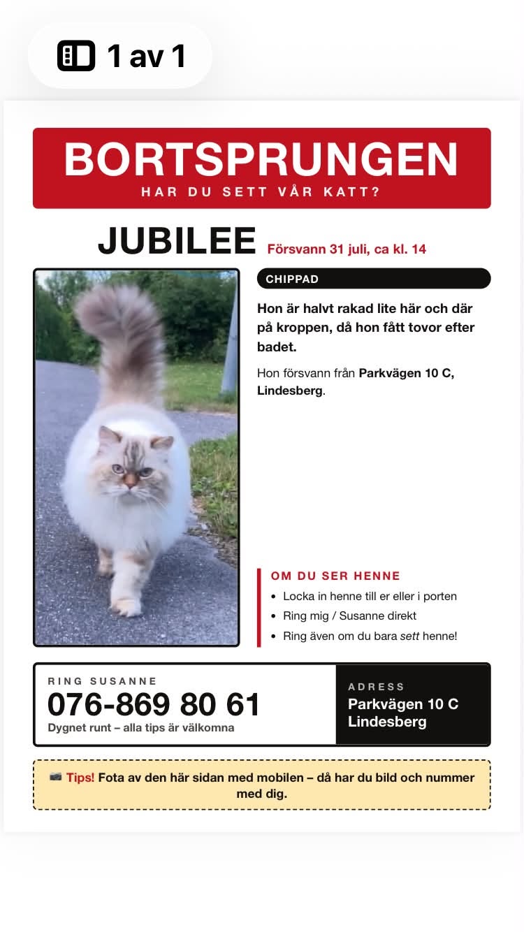 Lost Cat in Lindesberg