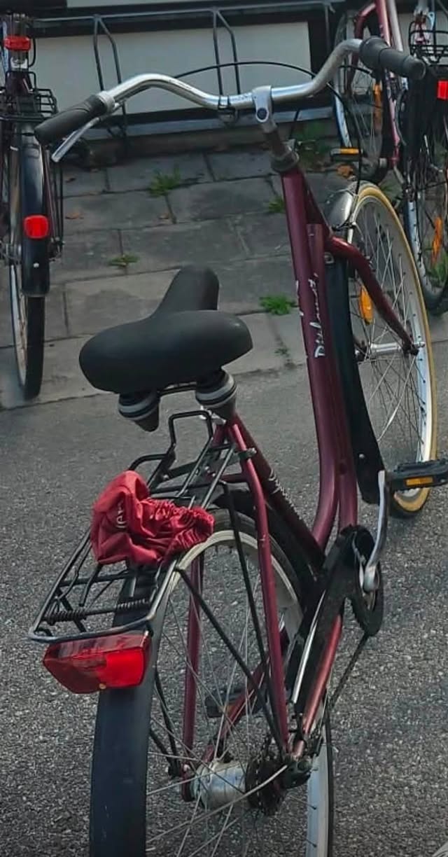 Lost Bike in ÖRebro