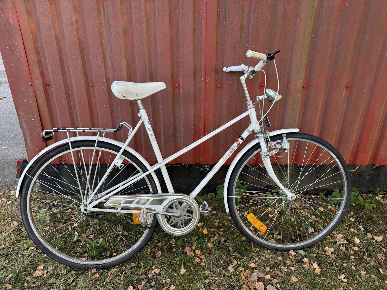 Found bike