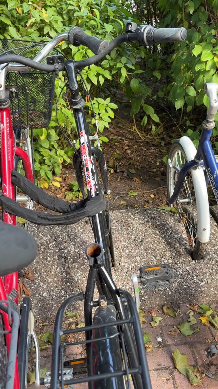 Lost Bike in ÖRebro