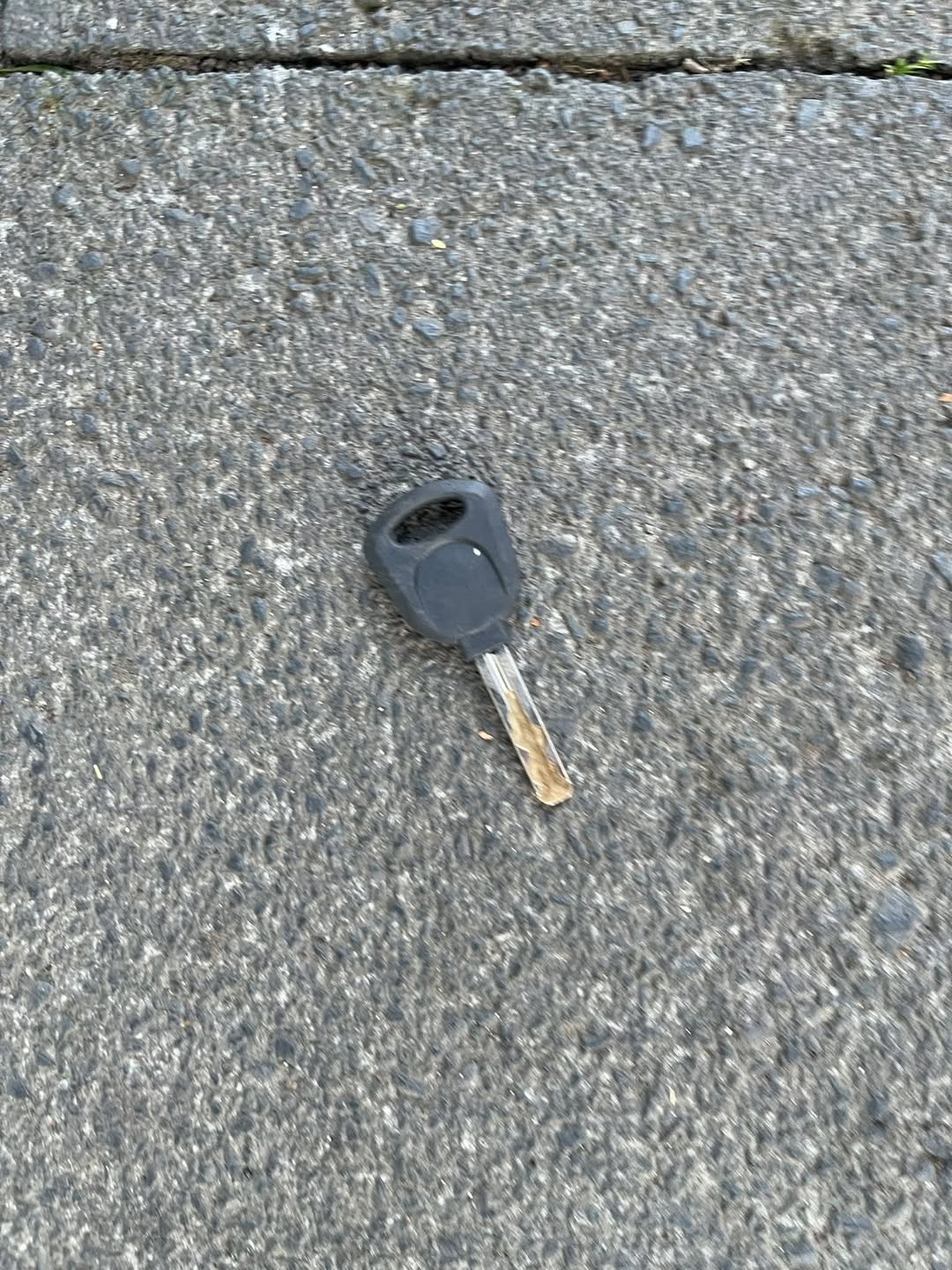 Found keys