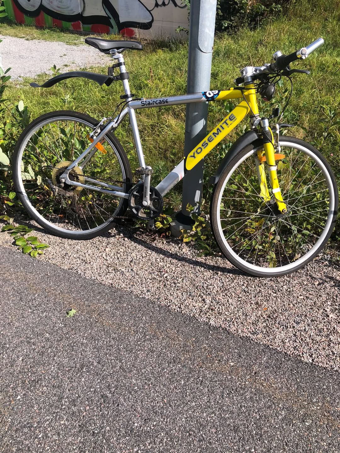 Found bike