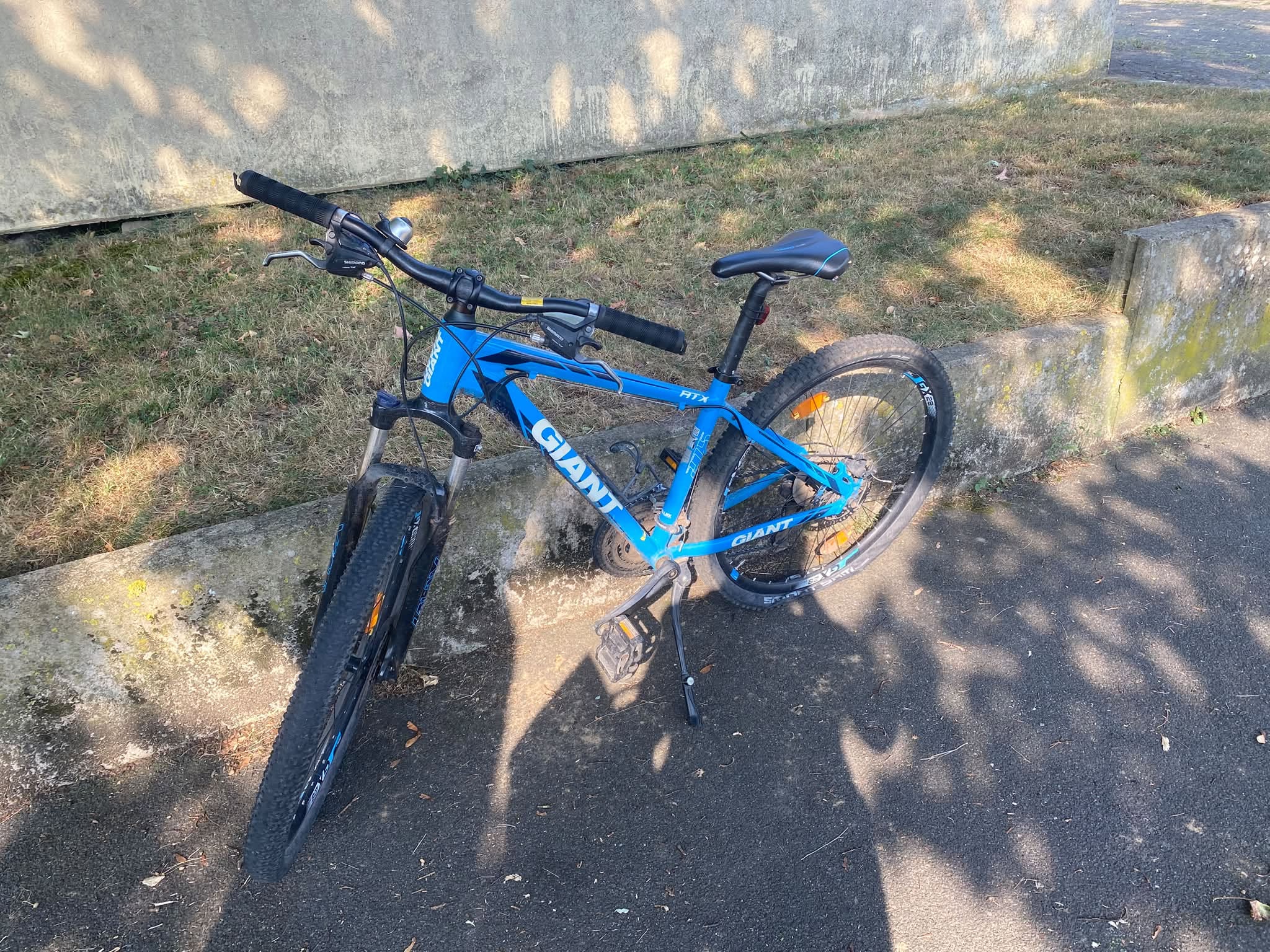 Found bike