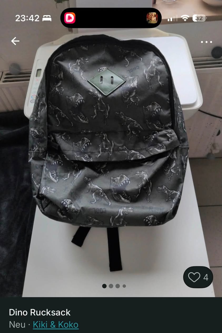 Lost Bag in Germany