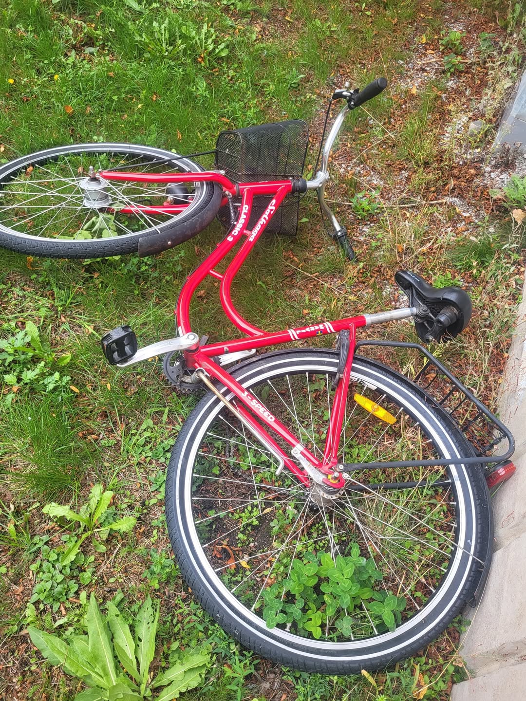 Found bike