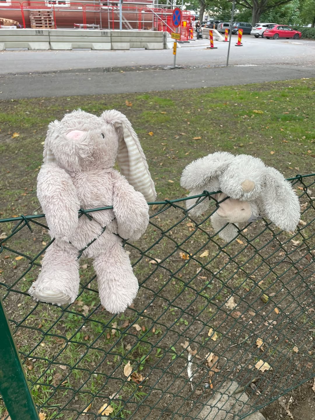 Found Toy in ÖRebro