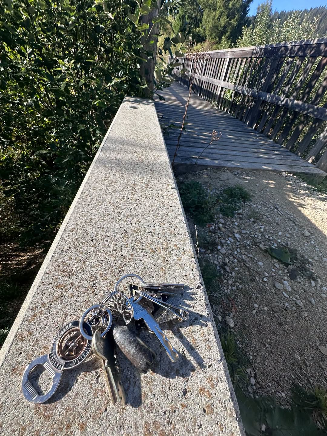 Found keys