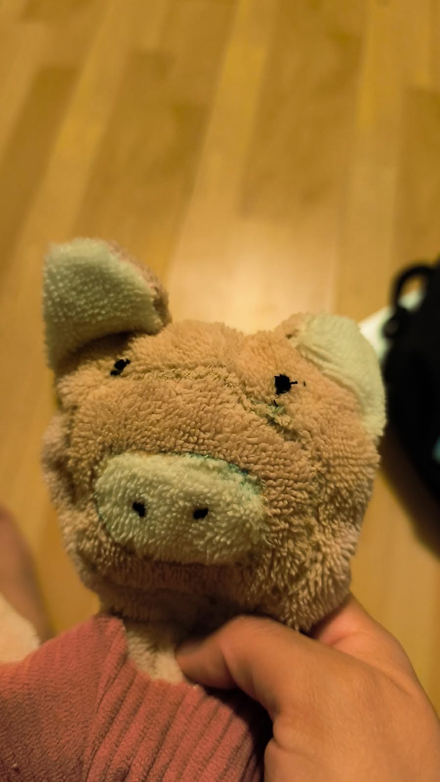 Lost Toy in Paris