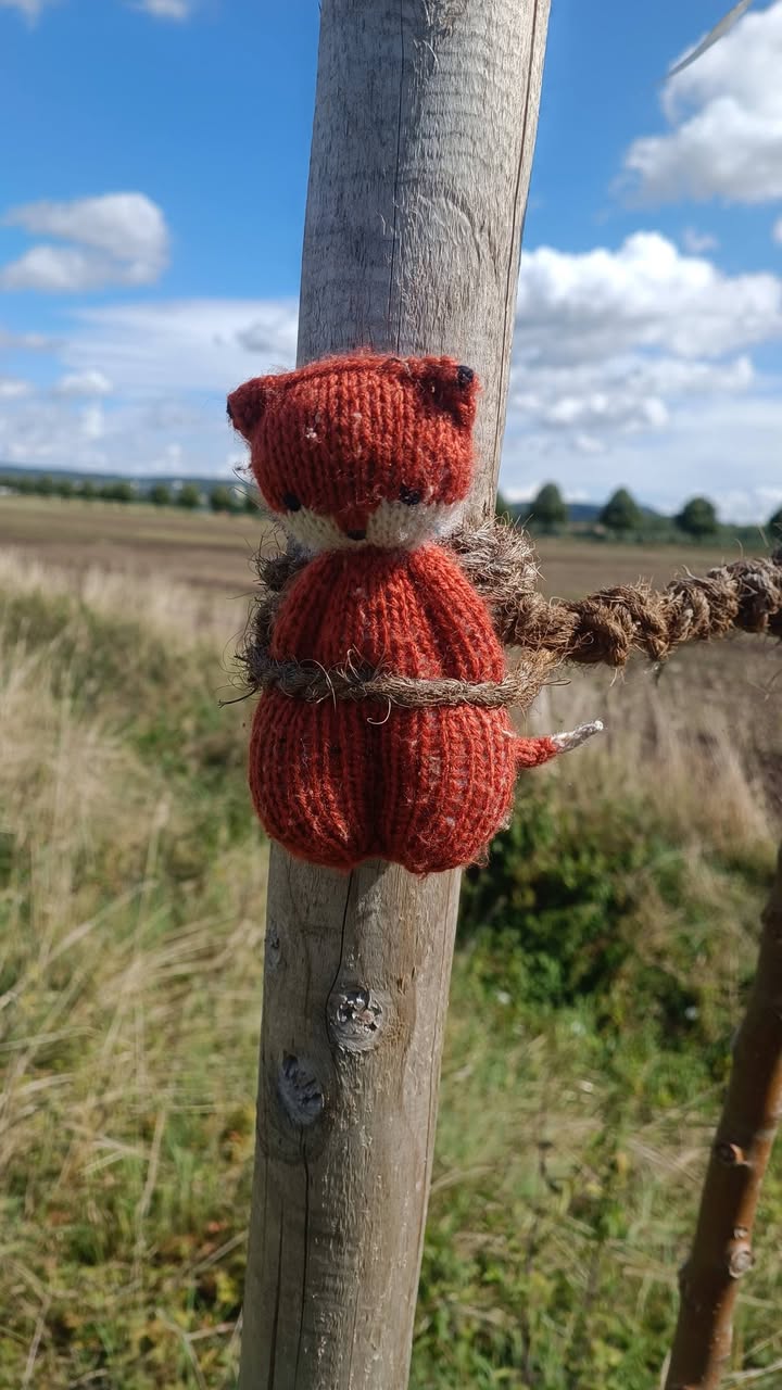 Found Toy in GöTtingen
