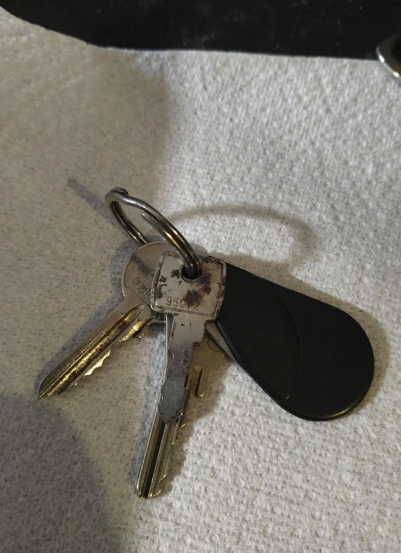 Lost Keys in Grenoble