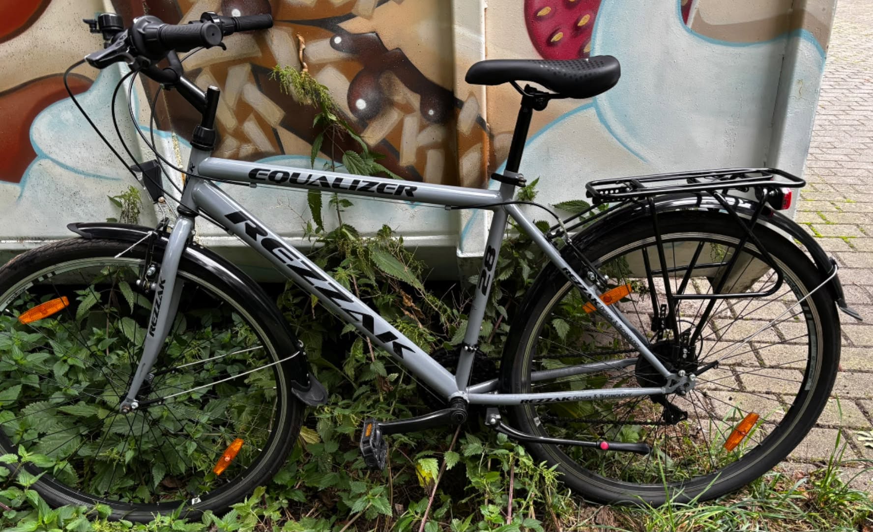 Found bike