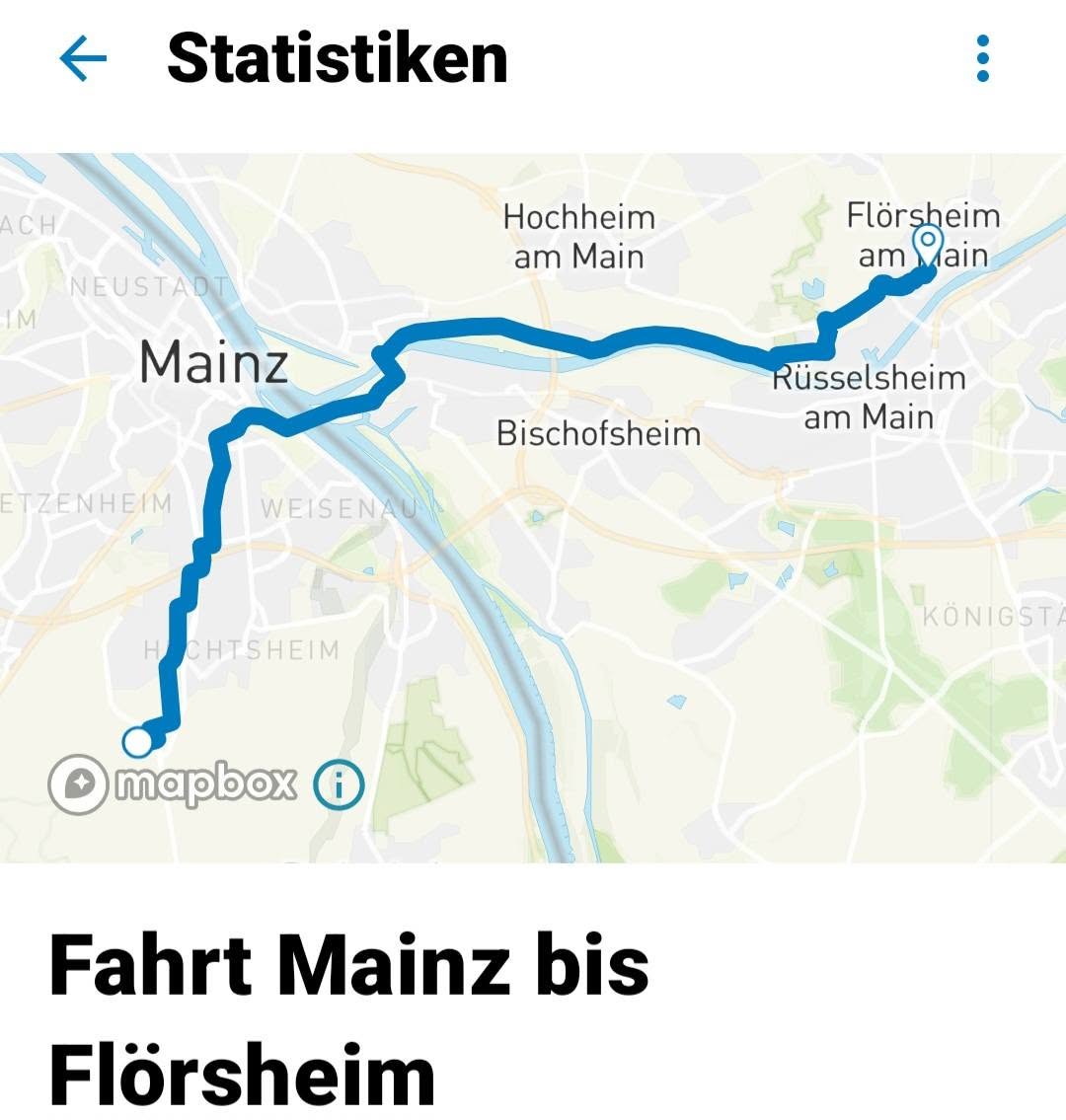 Lost Bag in Mainz