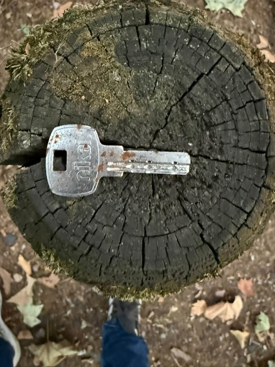 Found keys