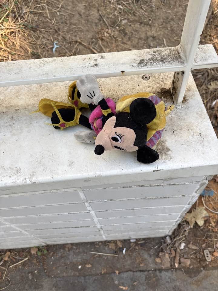 Found toy