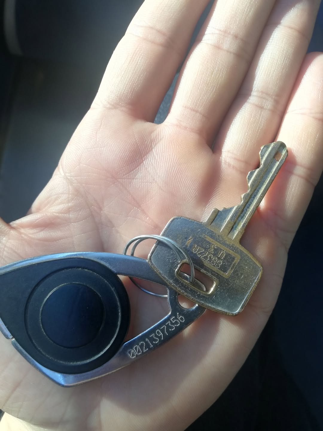 Found keys