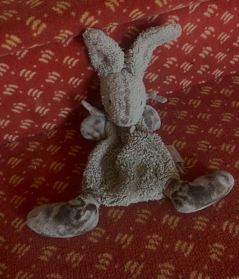 Lost Toy in Paris
