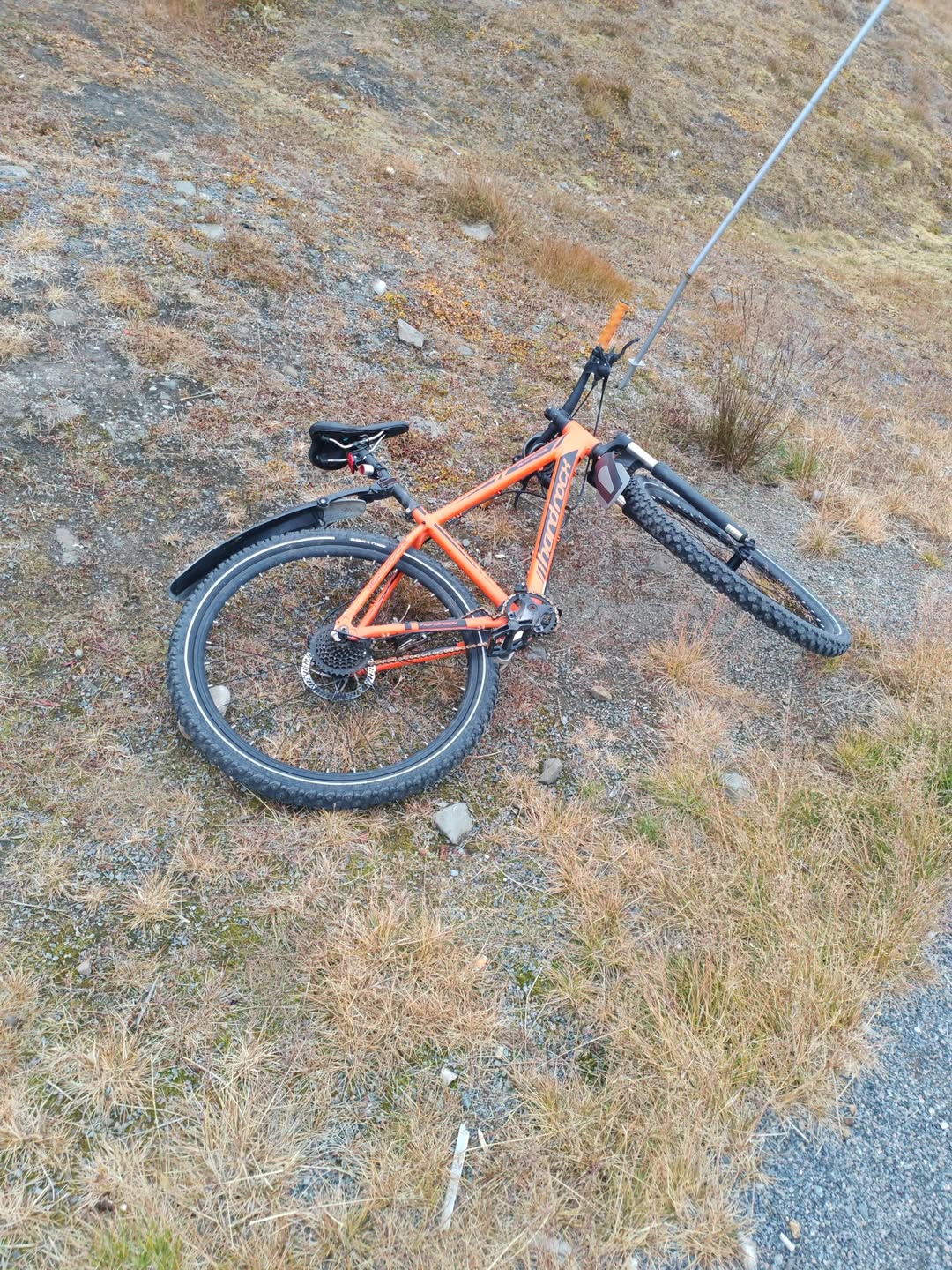 Found bike