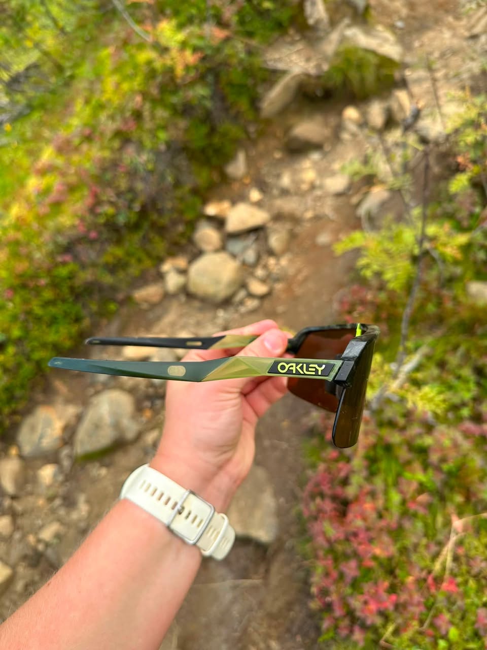 Found sunglasses