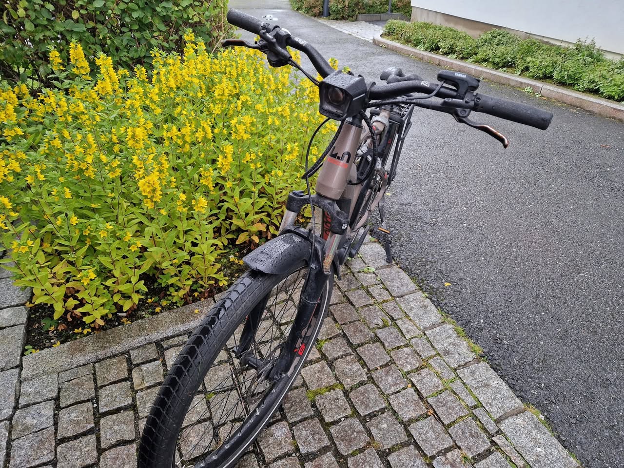 Found Bike in Tromsø
