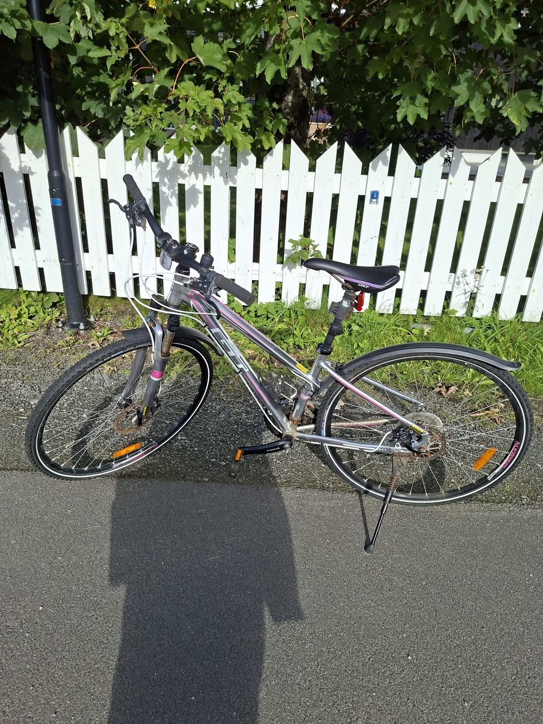 Found bike