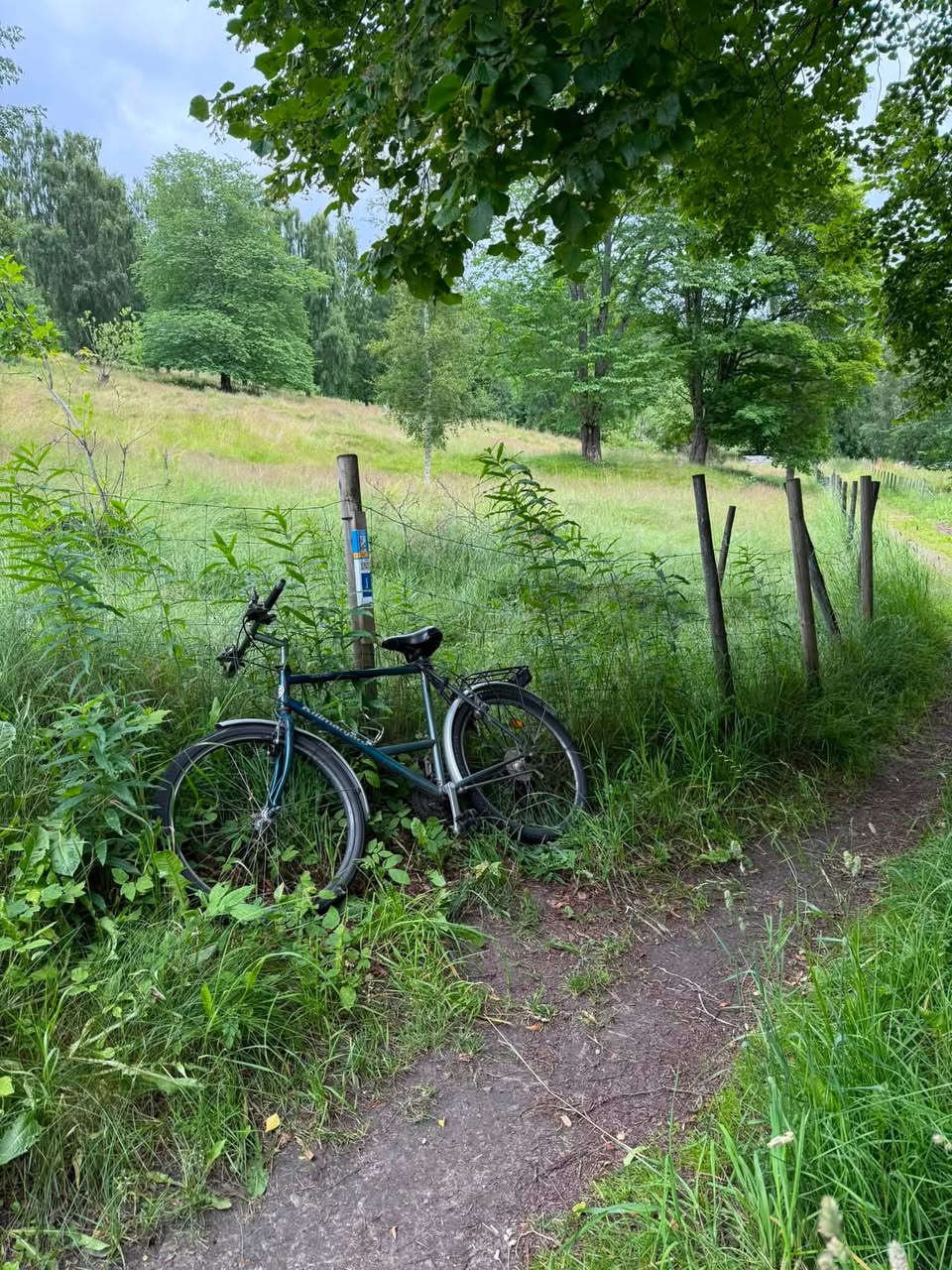 Found bike