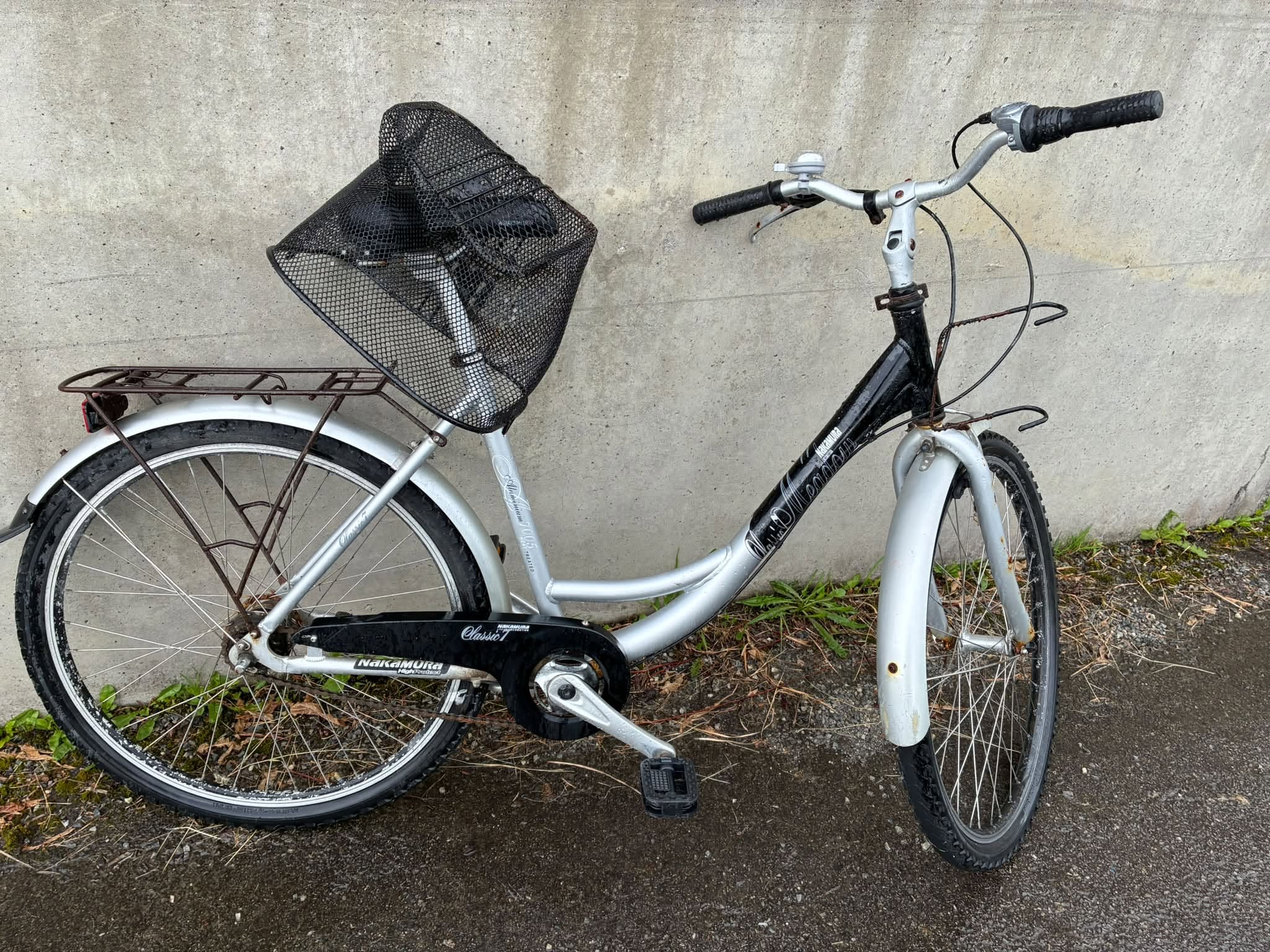 Found bike