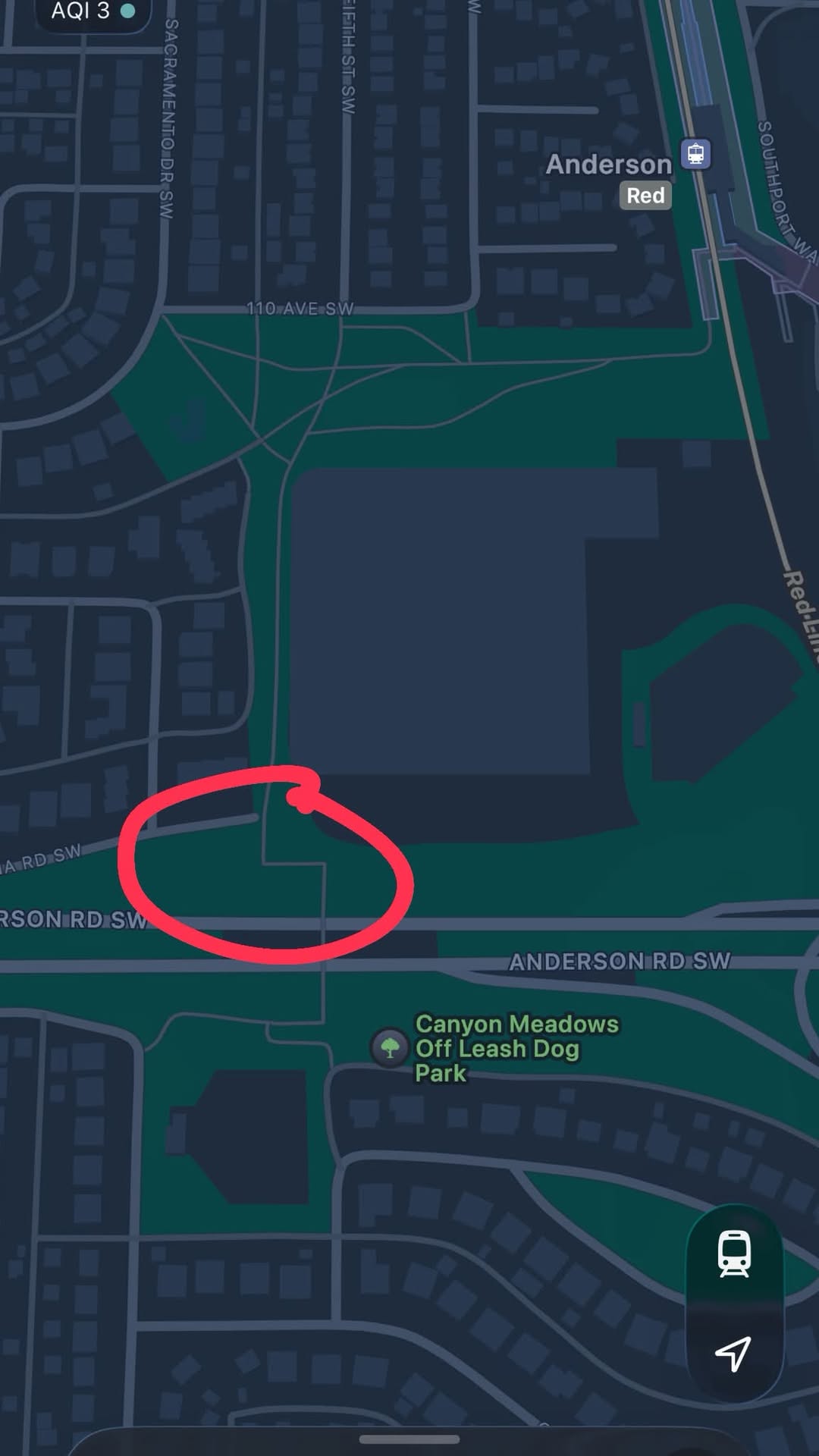 Found dog