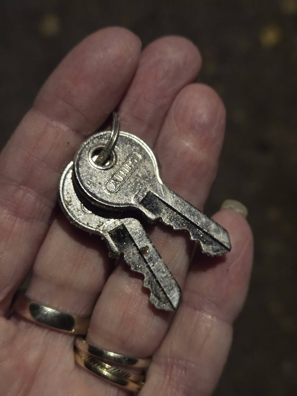 Found keys