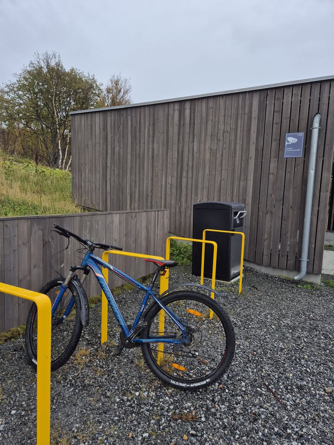 Found bike