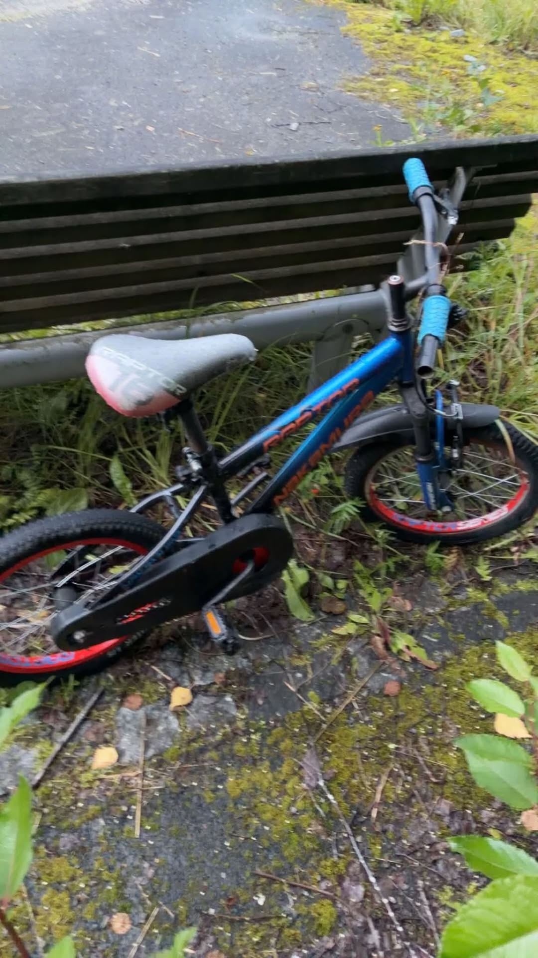 Found bike